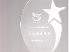 2013年度光华创业精神大奖——优秀创业项目